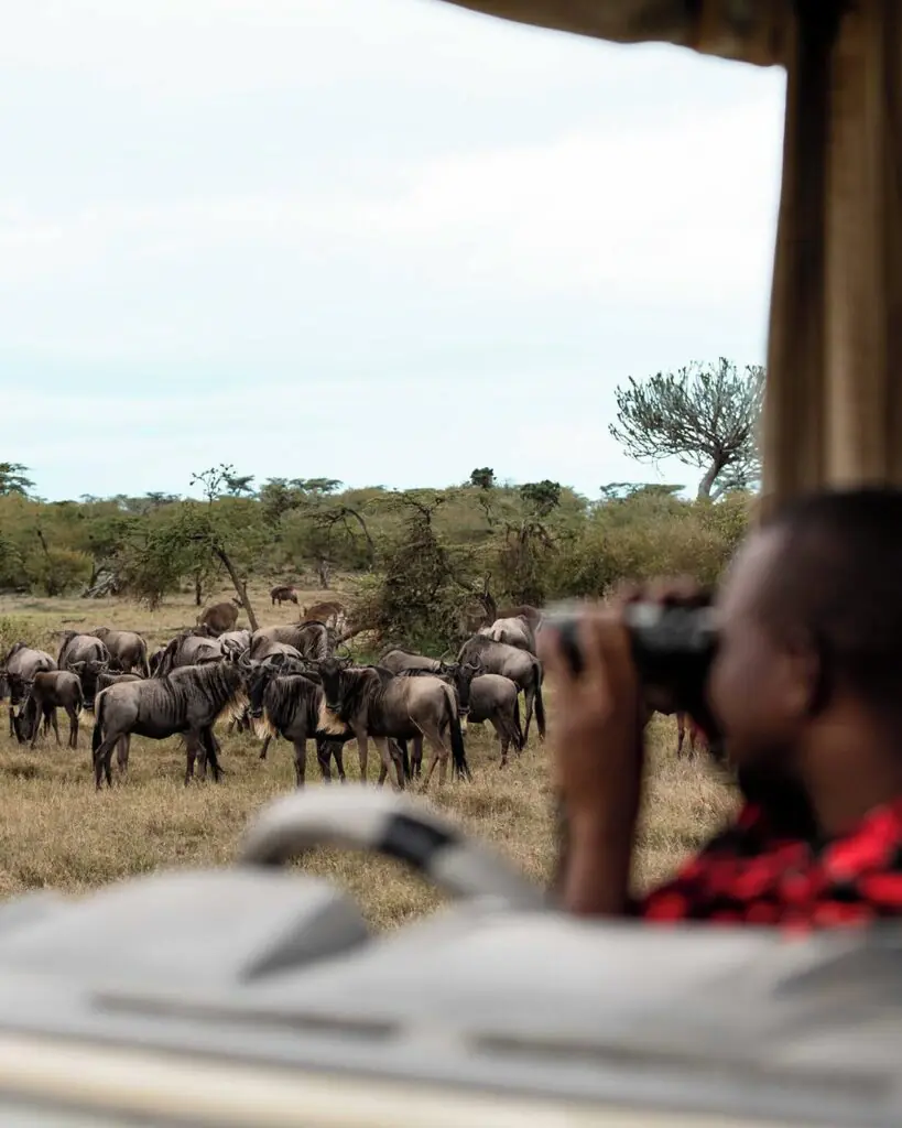 Luxury Safari in Kenya