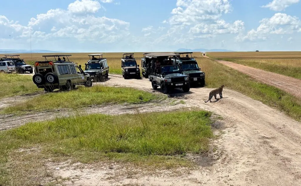   Kenya safari