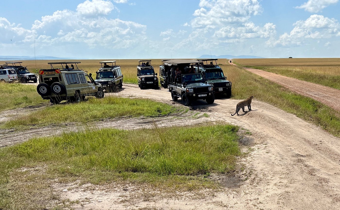 Kenya safari
