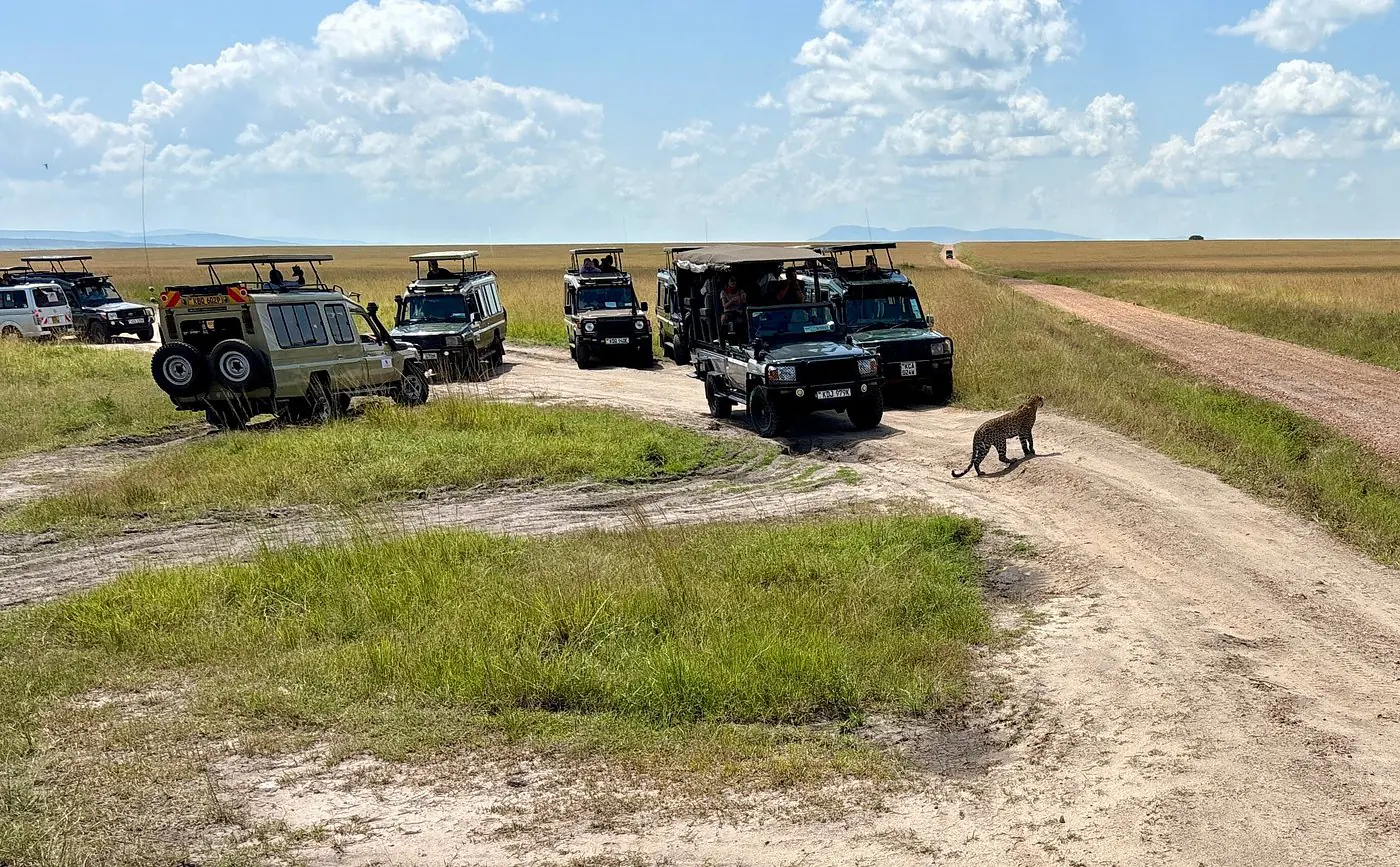 Kenya safari