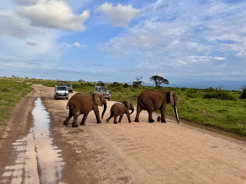 Amboseli Kenya safari