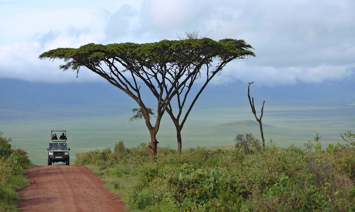 Kenya Tanzania safaris