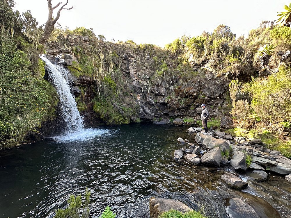 Mount Kenya National Park
