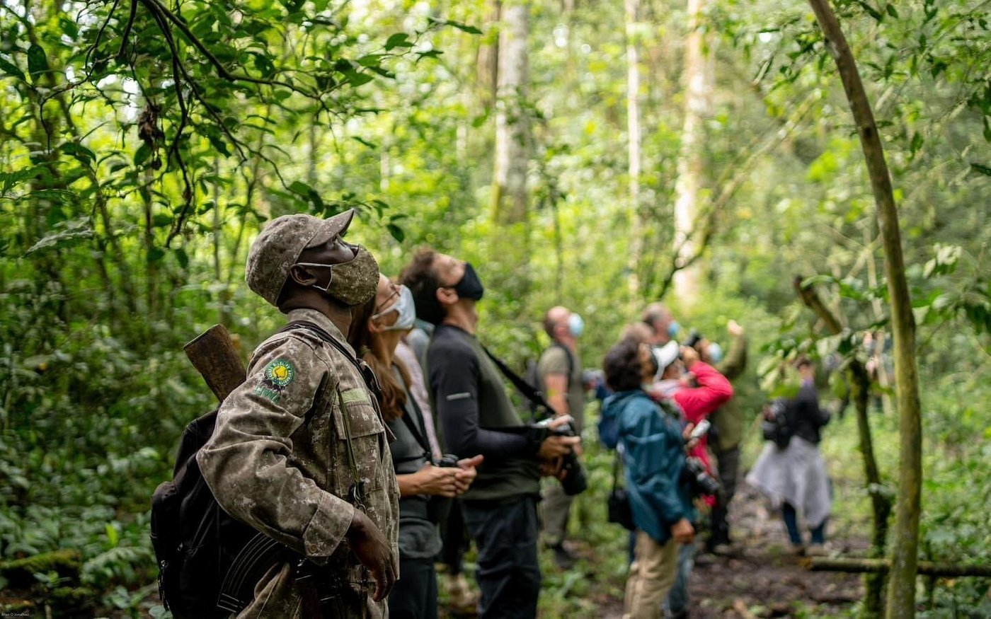 Kibale Forest National Park