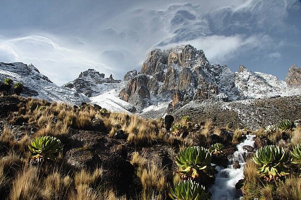 Mount Kenya National Park