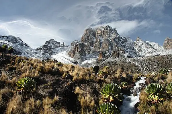 Mount Kenya National Park