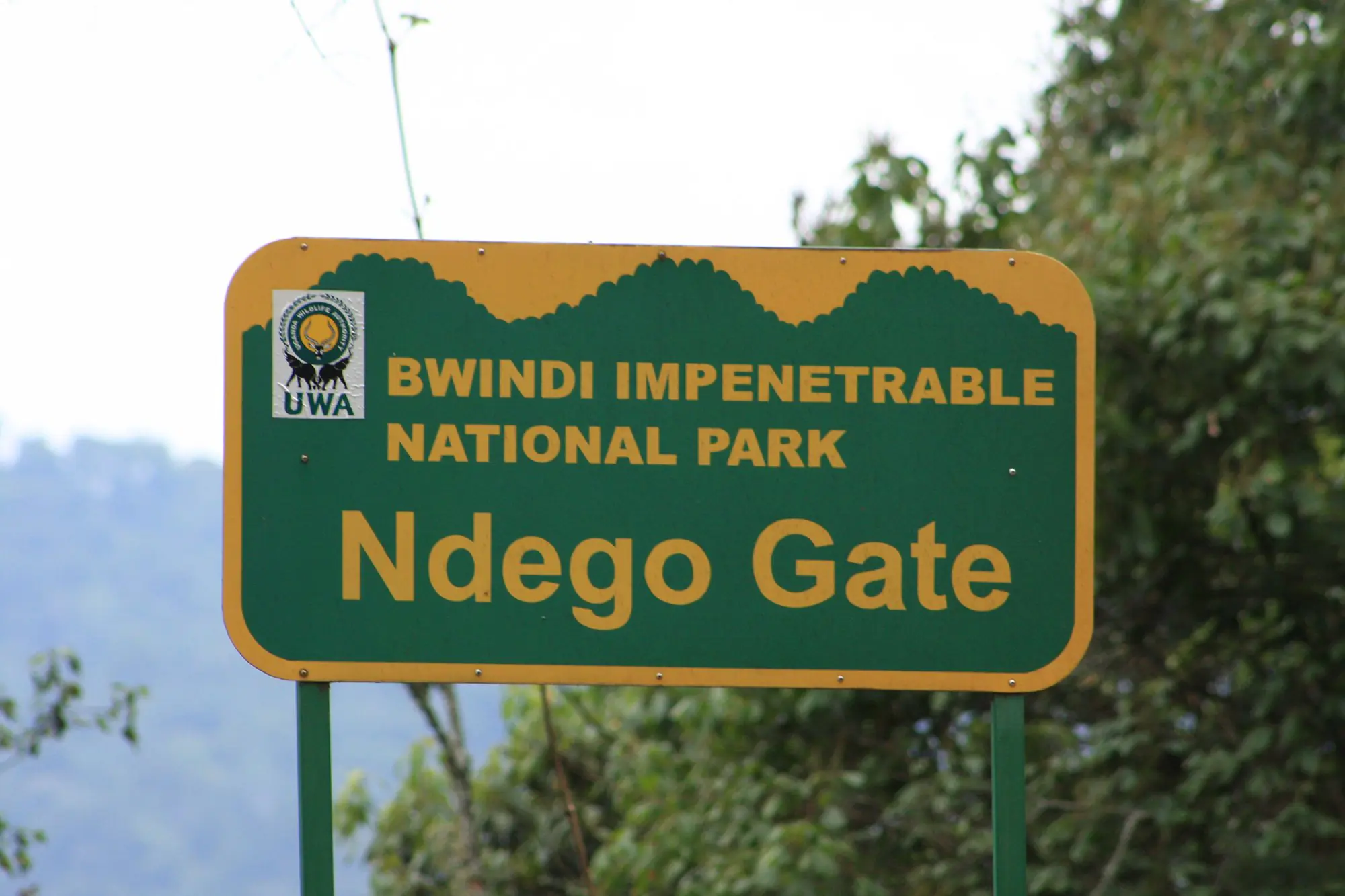 Gorilla Trekking in Uganda