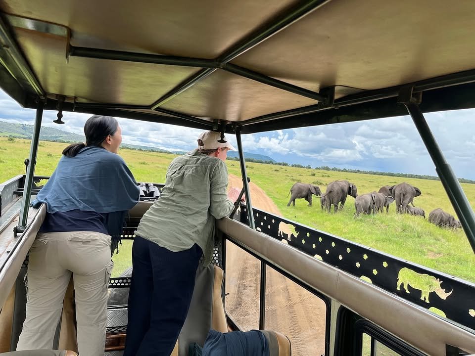 Expats & Professionals Working in Kenya