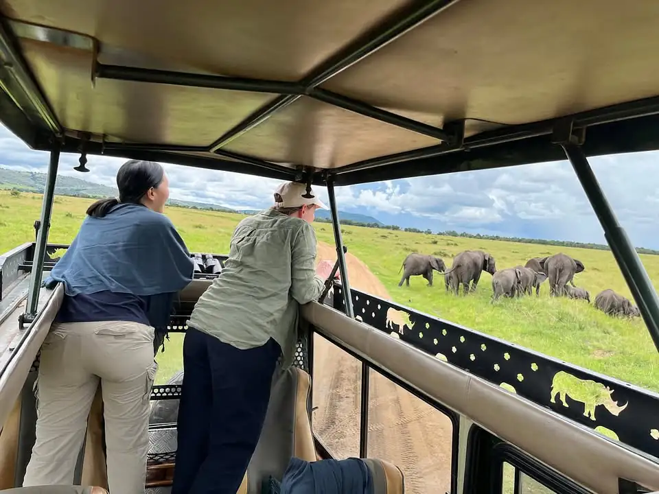 Expats & Professionals Working in Kenya
