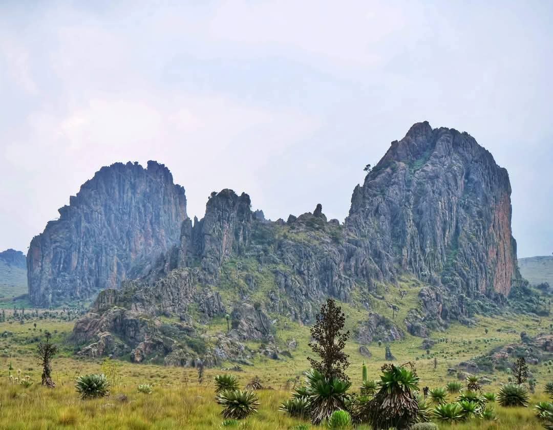 7-Day Safari in Kenya