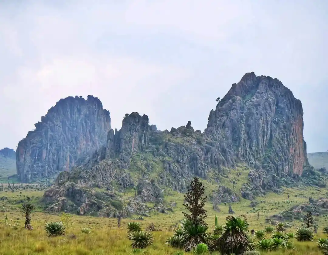 7-Day Safari in Kenya