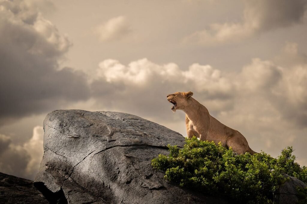Arusha National Park