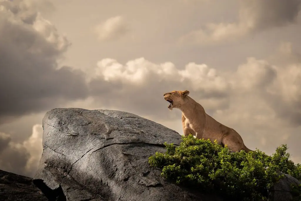 Arusha National Park