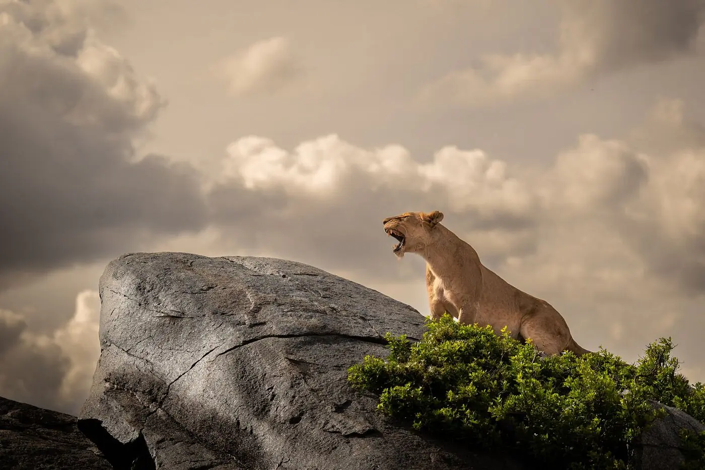 Arusha National Park