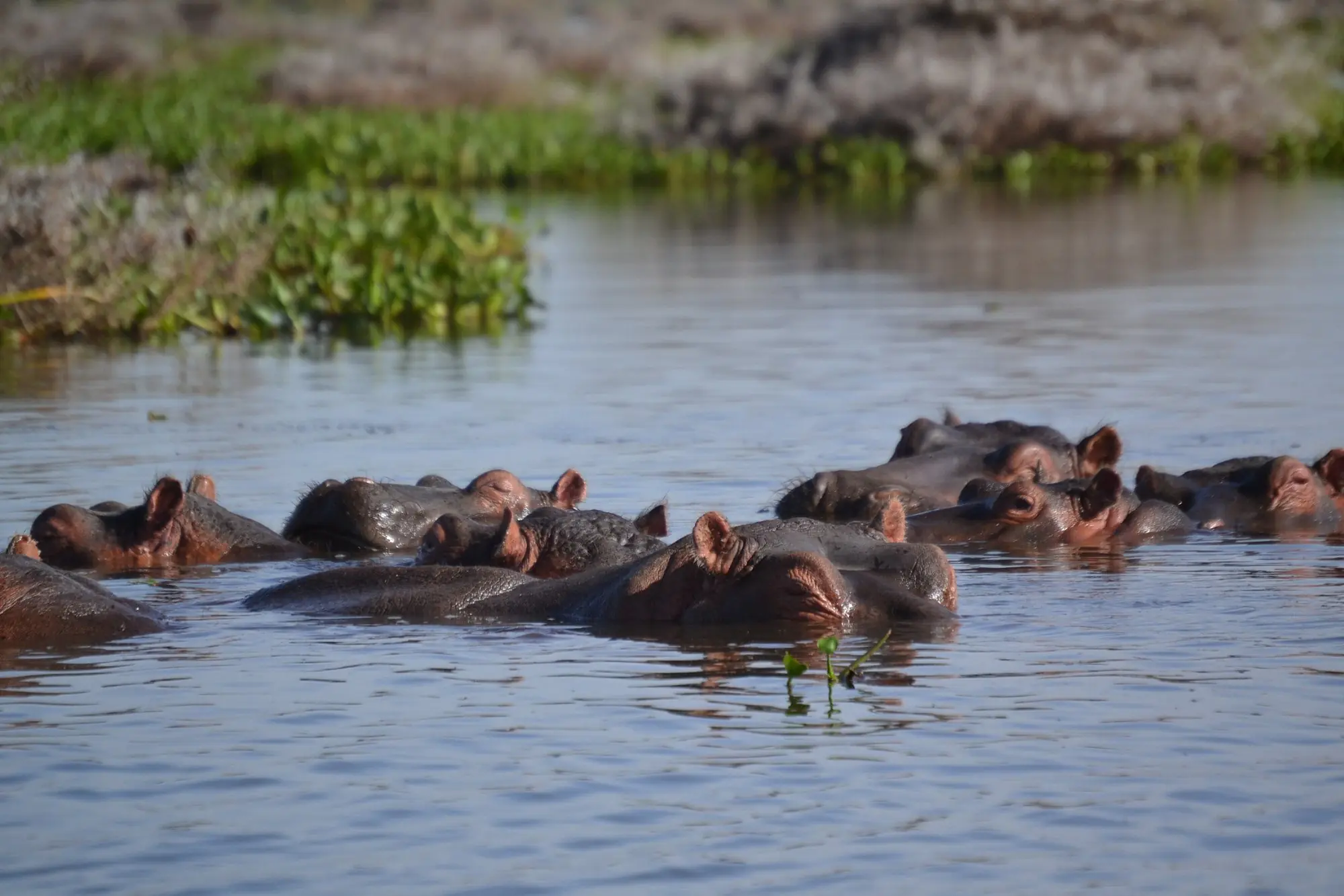 5-Day Kenya Safari