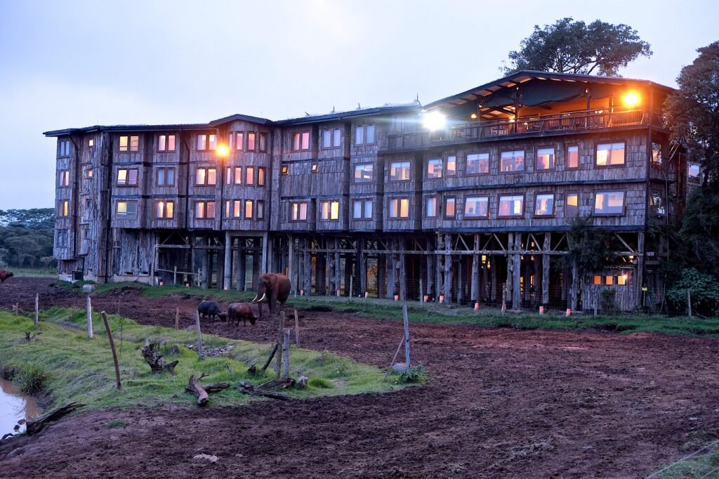 Treetops Lodge