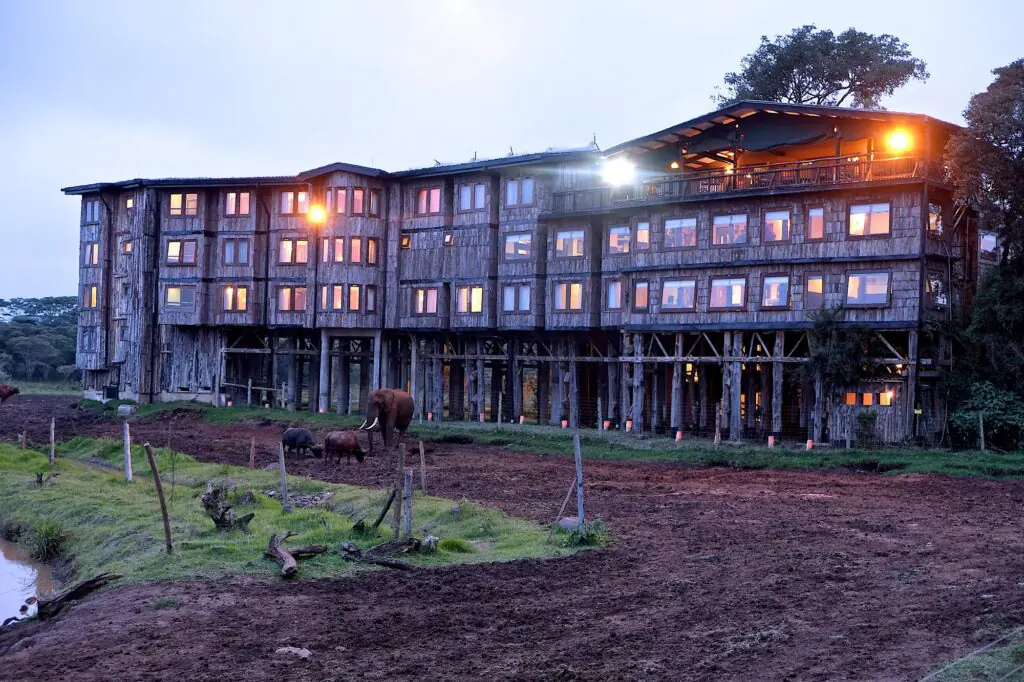 Treetops Lodge