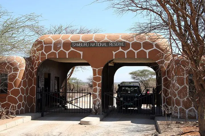 Samburu Safari Packages