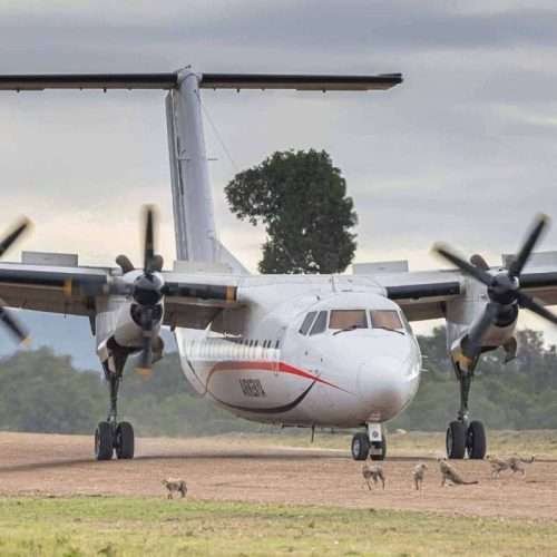 Fly-in Safari with Annest Kenya Safaris