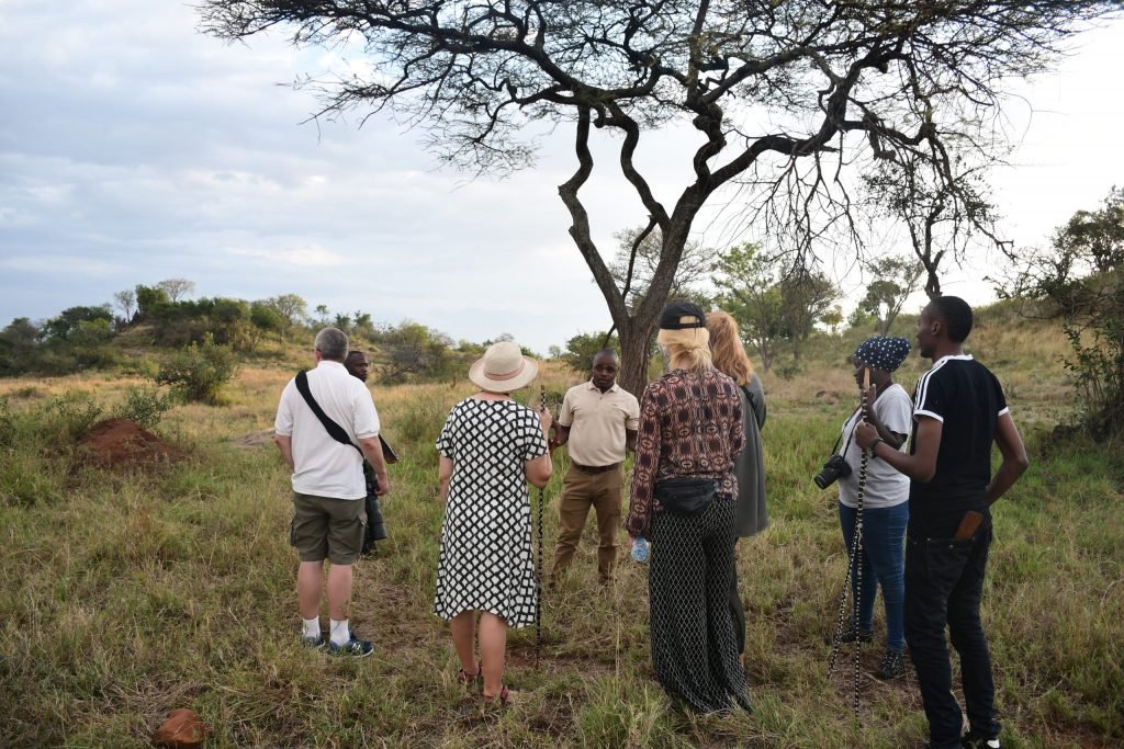 Kenya-Tanzania safari