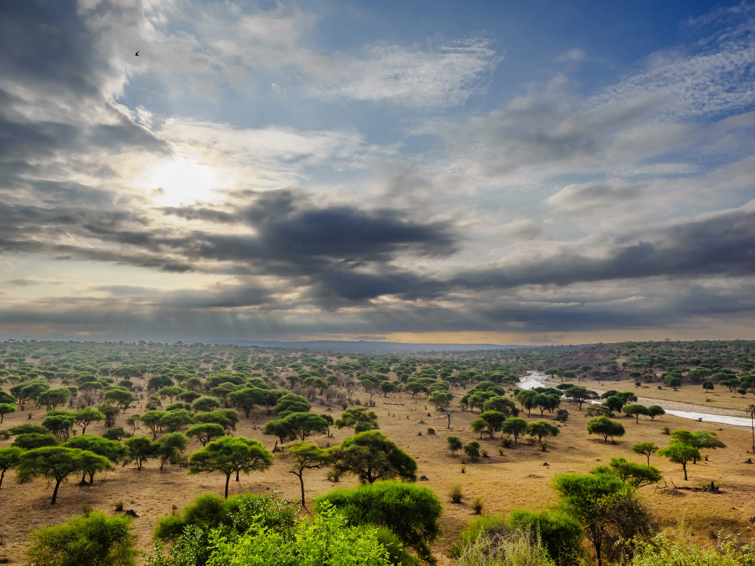 Tsavo National park safaris