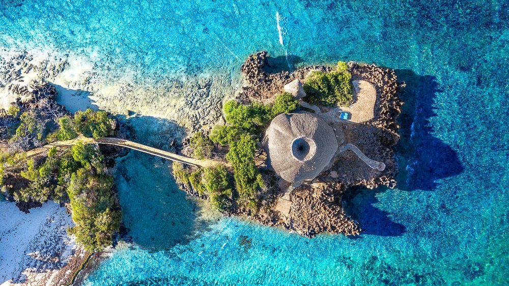 Diani beach excursions