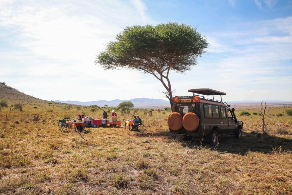Tsavo safaris tours