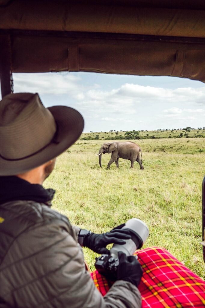 Kenya safaris tours