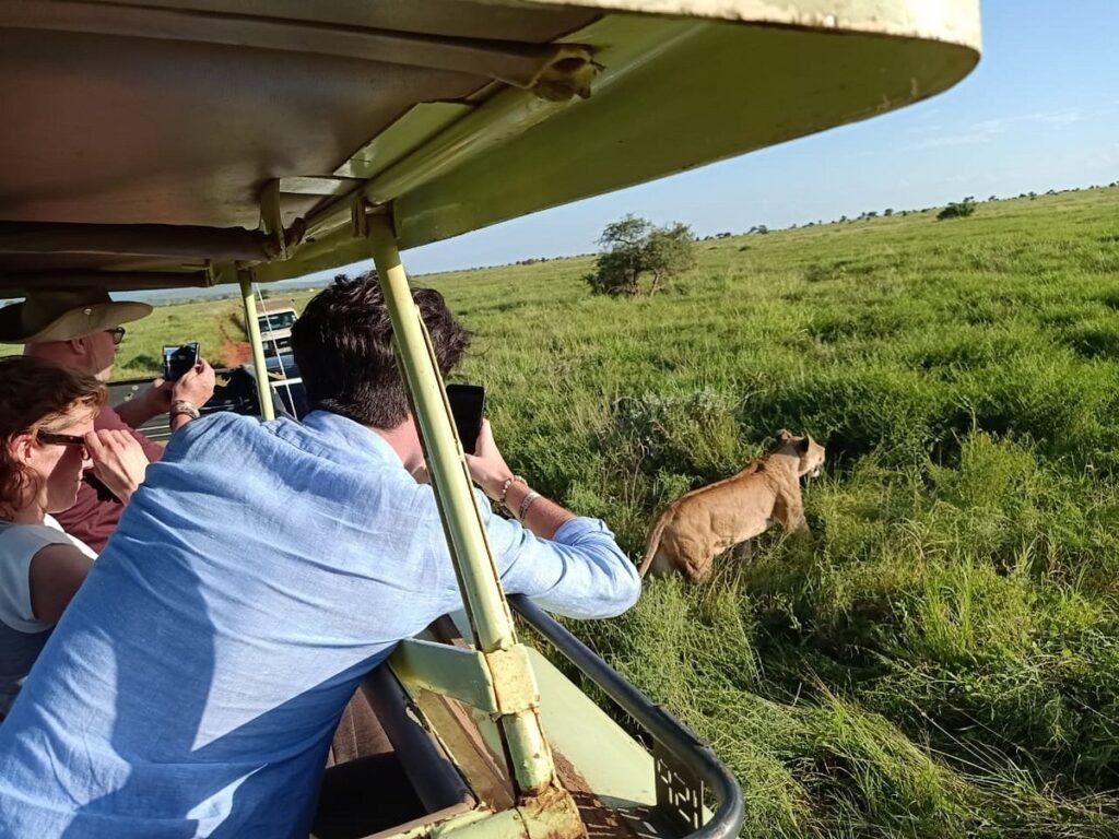 Annest Kenya safaris