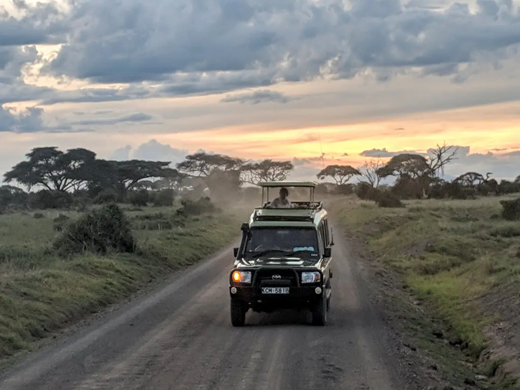 Kenya-Tanzania safaris