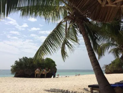 Diani beach excursions
