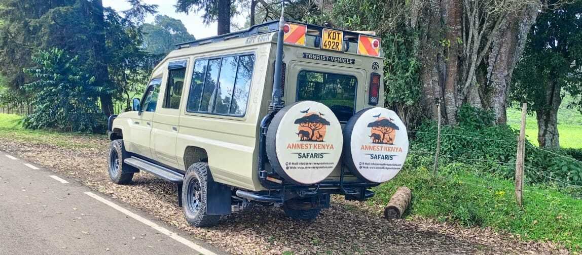 Safaris en Kenia