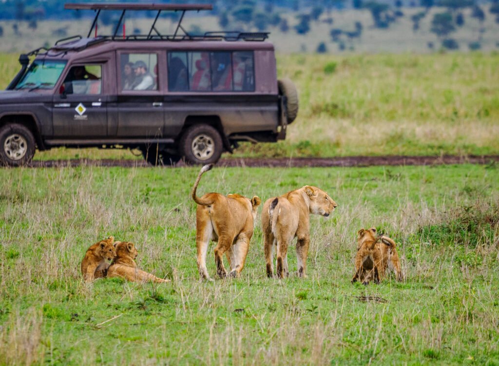 Luxury Tanzania safari