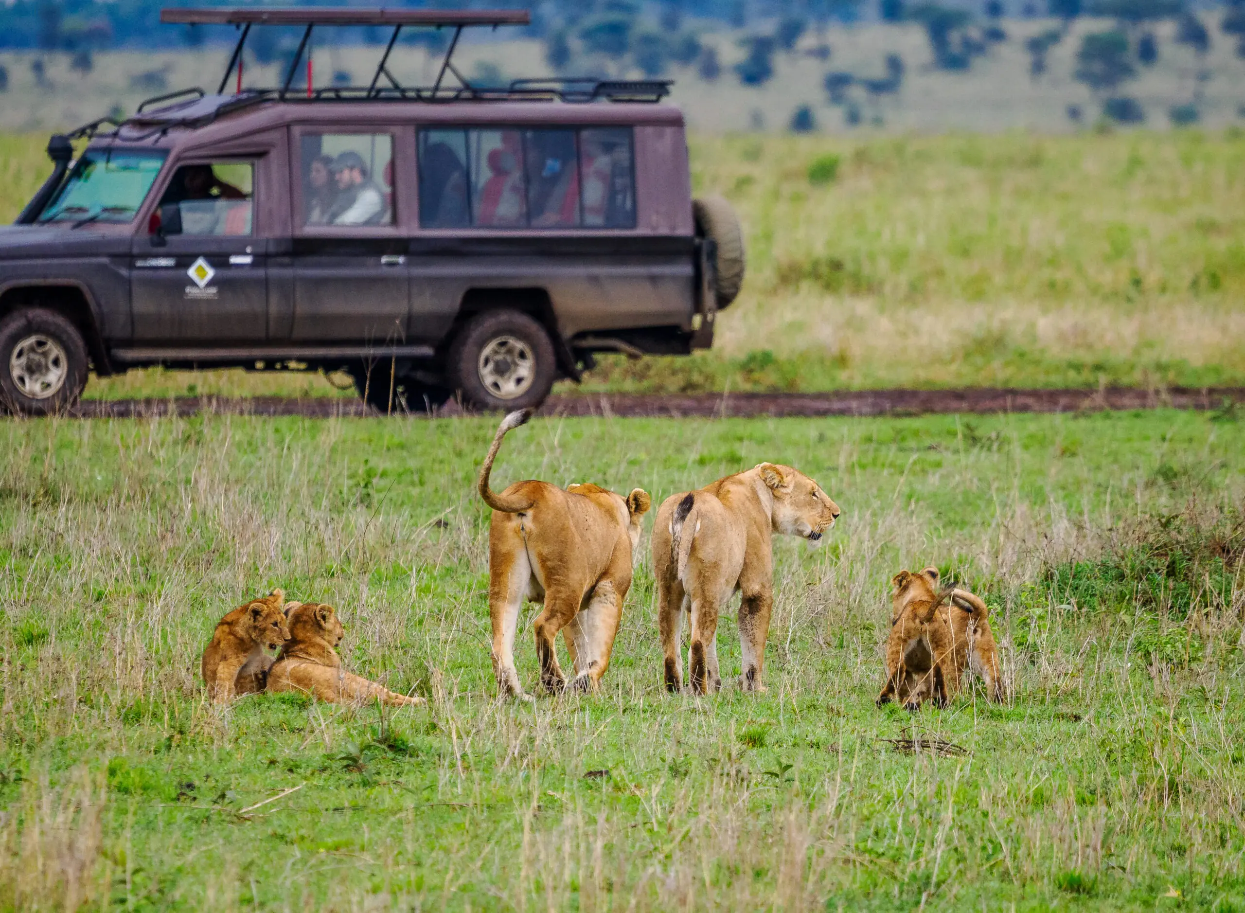 Luxury Tanzania safari