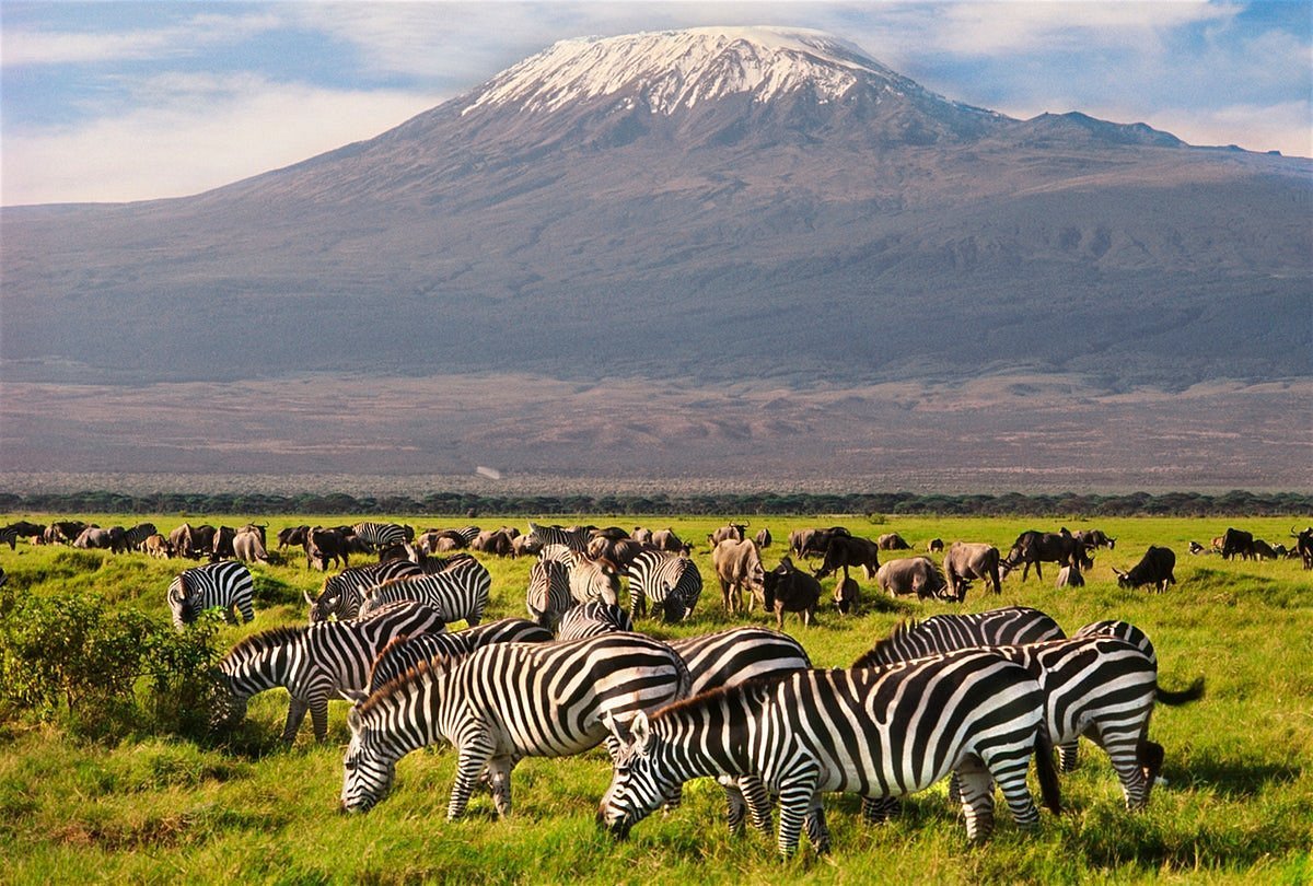 Kenya safari packages