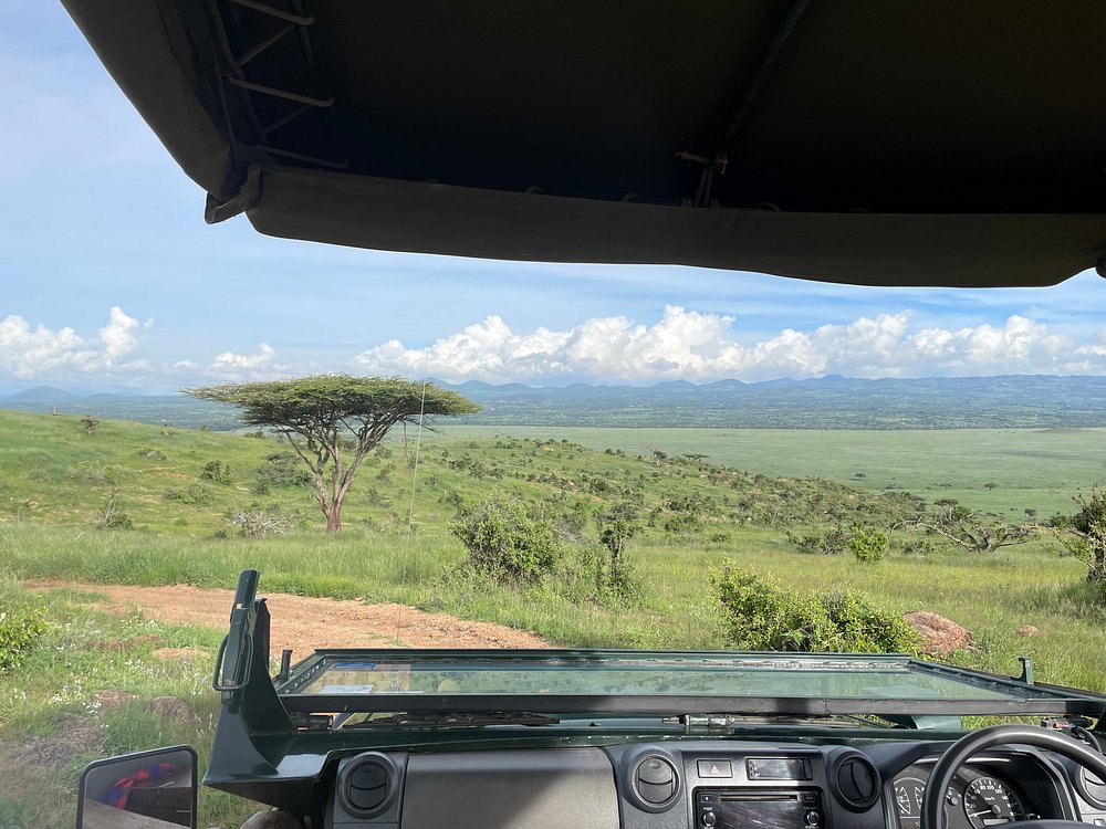 Multi-Day Safari Tours in Kenya