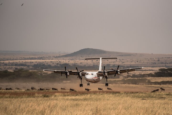 Kenya flight safaris