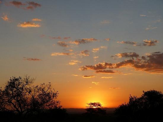 Kenya flight safaris