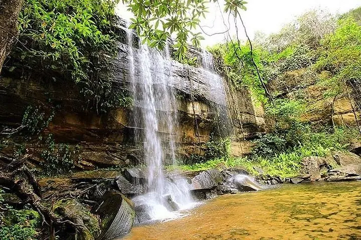 Shimba Hills National Reserve Day Tour