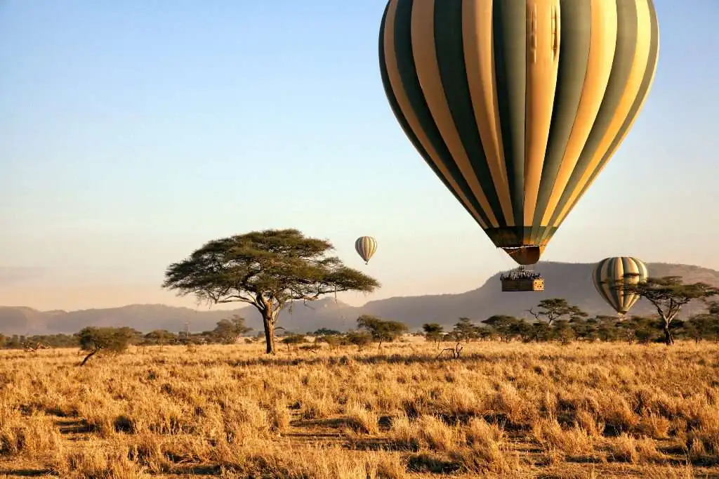 5 days Kenya safaris