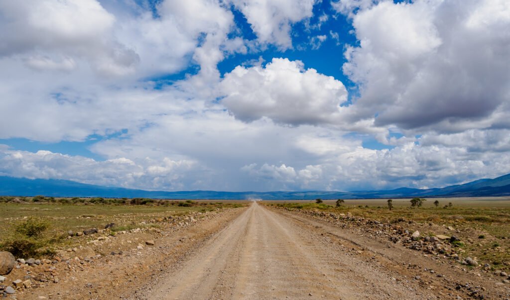 Tanzania Safaris