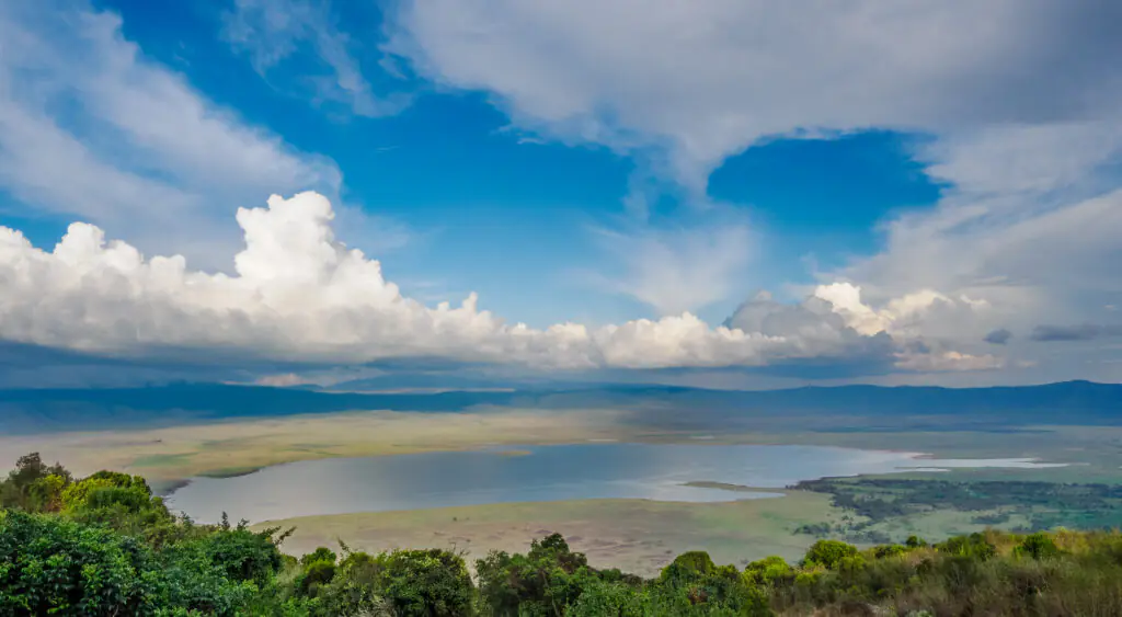 Tanzania Safaris