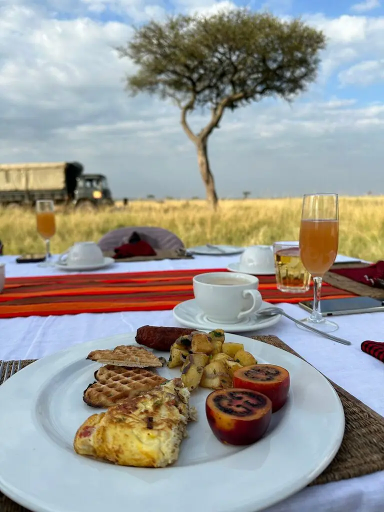 tanzania safari tours