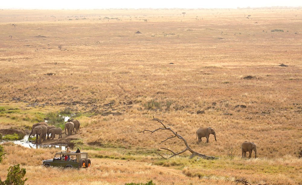 Masai Mara National Reserve