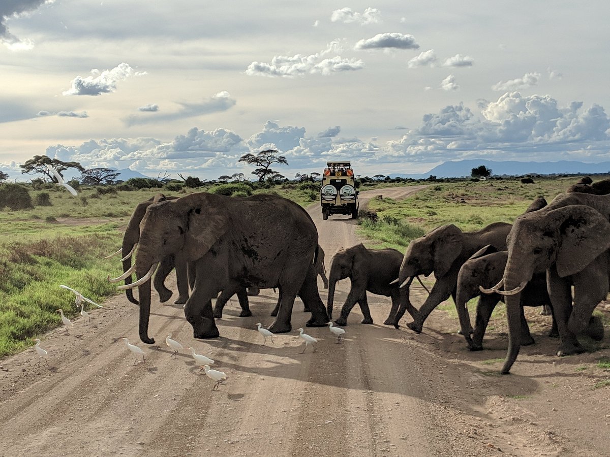 Kenya safaris from Nairobi