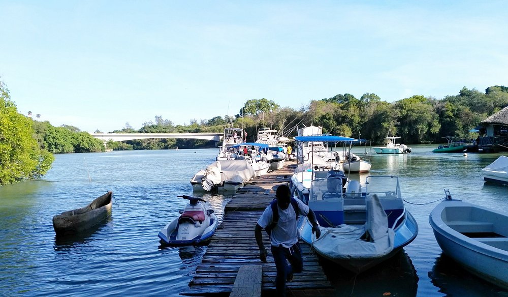Tamarind Dhow Dinner Cruise Mombasa