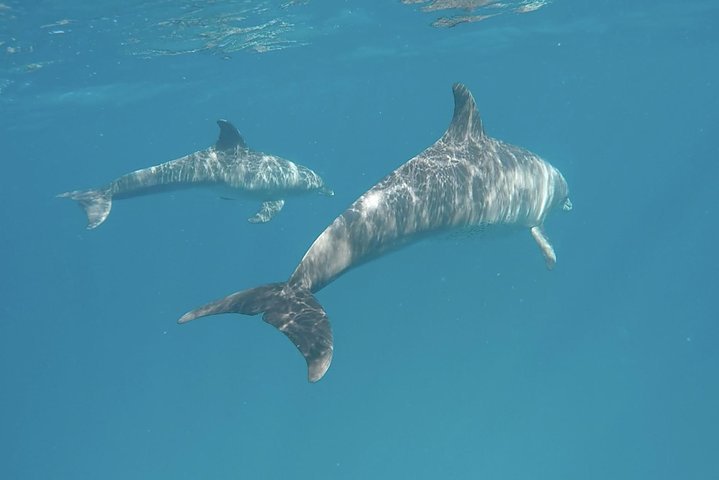 Zanzibar beach vacation