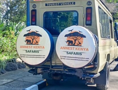 WhatsApp Image 2025-11-07 at 09.27.16 (1)