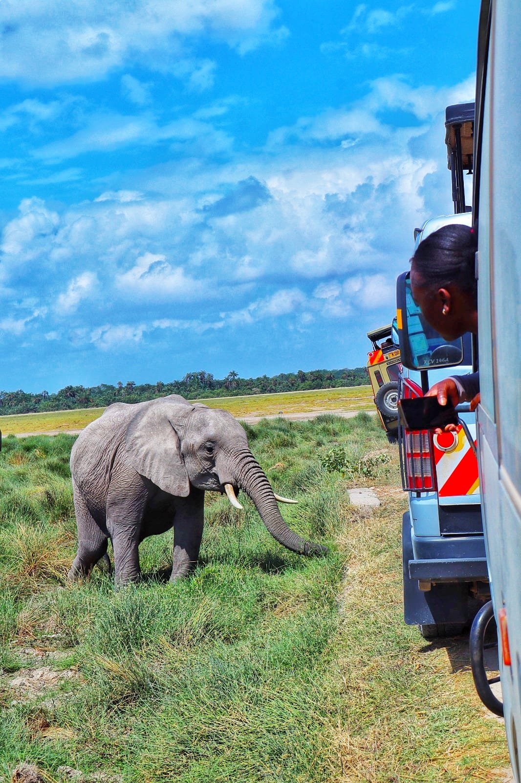 ANNEST KENYA SAFARIS