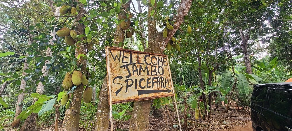 Zanzibar Spice Island Tour